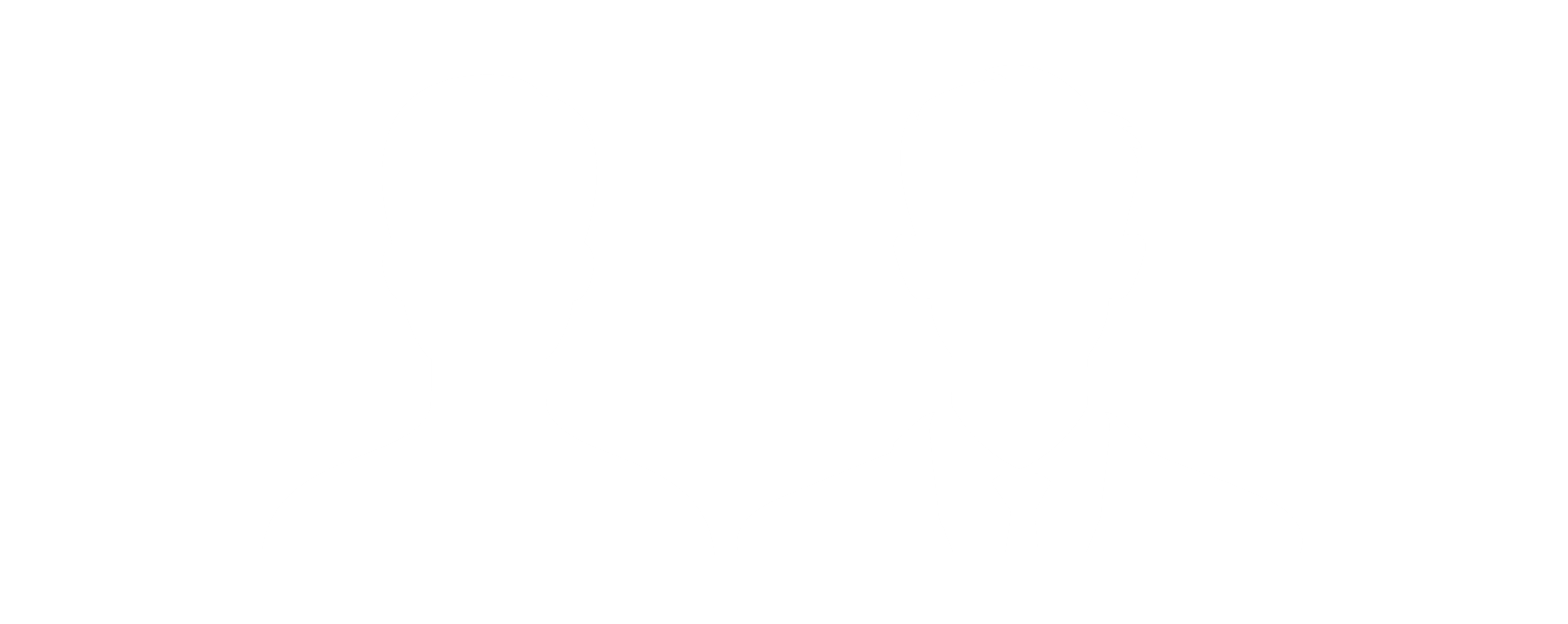 AppDevelopingDudes